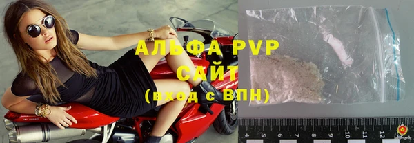 индика Алексин