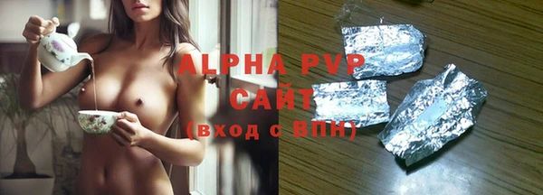 индика Алексин