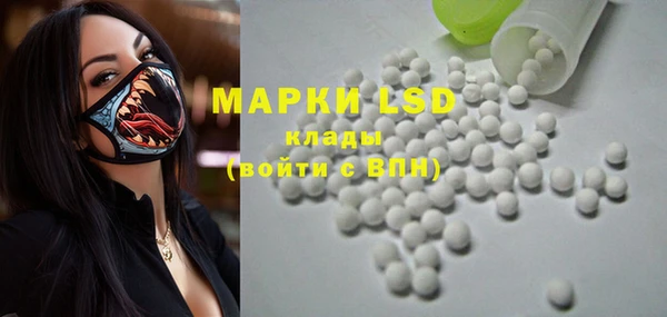 индика Алексин