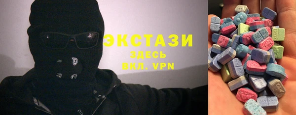 индика Алексин