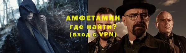 индика Алексин
