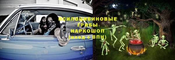 индика Алексин