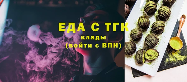 индика Алексин