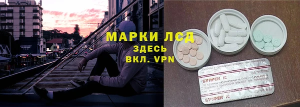 индика Алексин