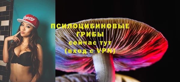 стафф Армянск